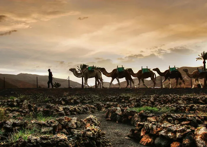 Home2book Prime Location Apartment, Playa Grande 公寓 *