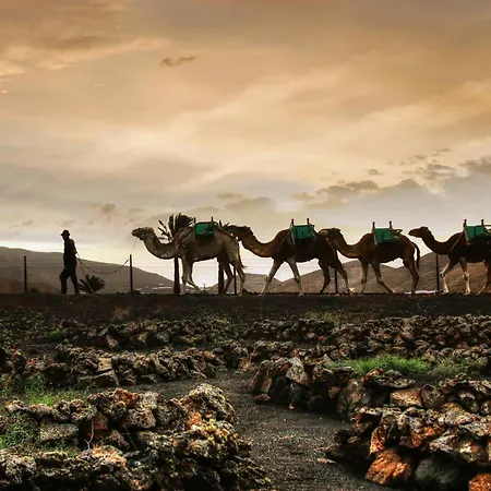 Home2book Prime Location Apartment, Playa Grande Apartament *